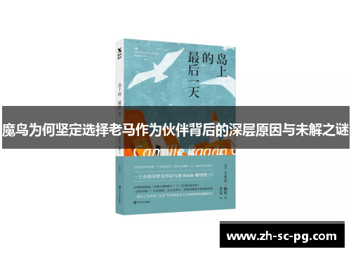 魔鸟为何坚定选择老马作为伙伴背后的深层原因与未解之谜 魔鸟为何坚定选择老马作为伙伴背后的深层原因与未解之谜
