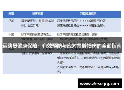 运动员健康保障：有效预防与应对肾脏损伤的全面指南
