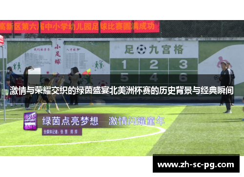 激情与荣耀交织的绿茵盛宴北美洲杯赛的历史背景与经典瞬间 激情与荣耀交织的绿茵盛宴北美洲杯赛的历史背景与经典瞬间
