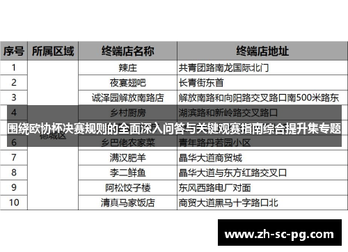 围绕欧协杯决赛规则的全面深入问答与关键观赛指南综合提升集专题